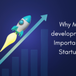 Why MVP development is important for Startups